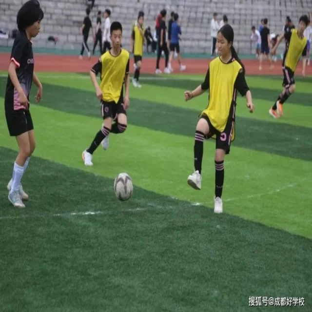 网球红土赛程观察：深入探讨第303组对决焦点
